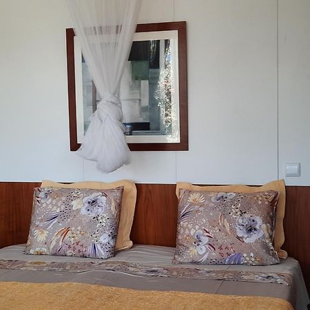 Adore Portugal Bungalow Natureza & Vista De Serra Lousã Εξωτερικό φωτογραφία