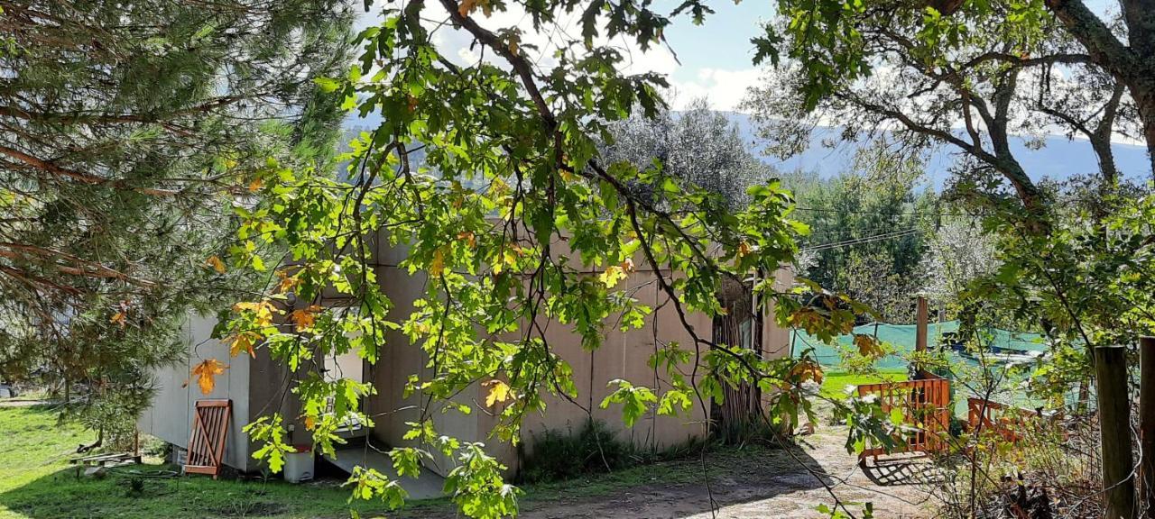 Adore Portugal Bungalow Natureza & Vista De Serra Lousã Εξωτερικό φωτογραφία