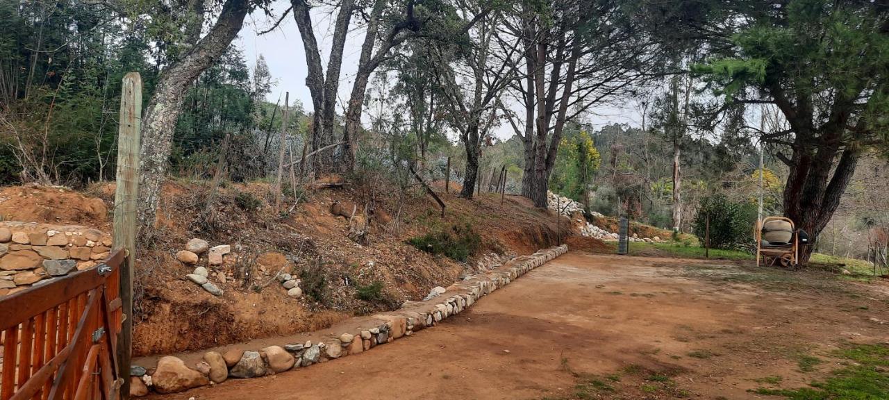 Adore Portugal Bungalow Natureza & Vista De Serra Lousã Εξωτερικό φωτογραφία
